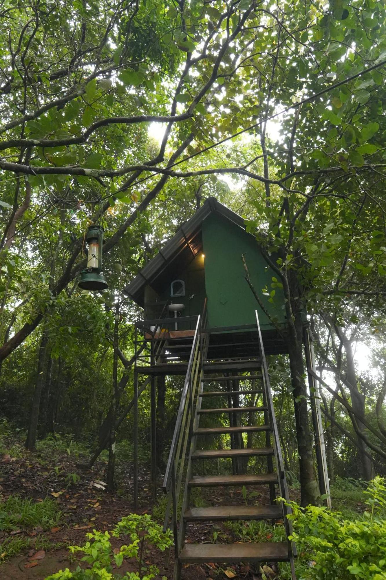 Regina Silva Camping & Nature Resort Paithalmala Buitenkant foto